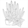Succulents Adult Coloring Book